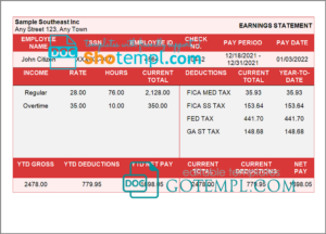 # sure shot pay stub template in Word and PDF format