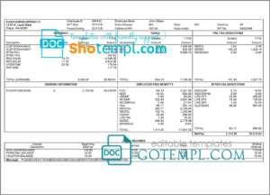 # perfect fit pay stub template in Word and PDF format