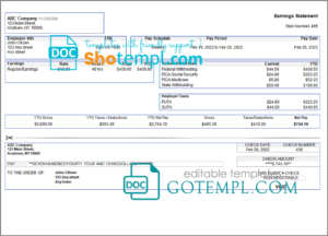 # special link pay stub template in Word and PDF format