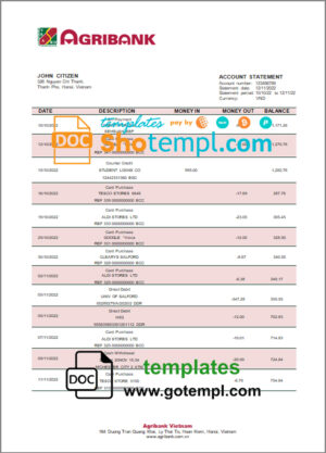 Vietnam Agribank bank statement template in Word and PDF format
