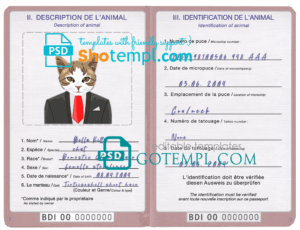 Burundi cat (animal, pet) passport PSD template, fully editable