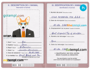Burundi dog (animal, pet) passport PSD template, completely editable