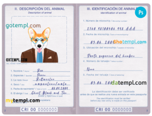 Malta Lombard bank visa classic card, fully editable template in PSD format