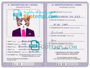 Djibouti cat (animal, pet) passport PSD template, completely editable