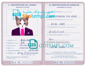 Indonesia driving license editable PSD files, scan look and photo-realistic look, 2 in 1 (2019-present)