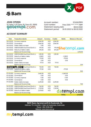 Thailand DBS bank statement easy to fill template in .xls and .pdf file format