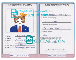 Timor-Leste Banco Nacional Ultramarino building visa card fully editable template in PSD format