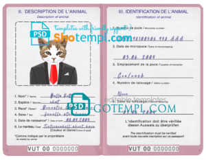 Bahamas Bank of the Bahamas bank mastercard debit card template in PSD format, fully editable