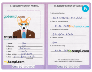 Ireland cat (animal, pet) passport PSD template, completely editable
