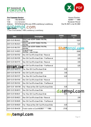 MBank company statement Word and PDF template