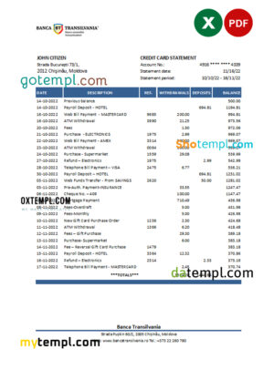 Commercial Shipping Invoice template in word and pdf format