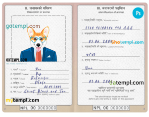Belarus dog (animal, pet) passport PSD template, completely editable