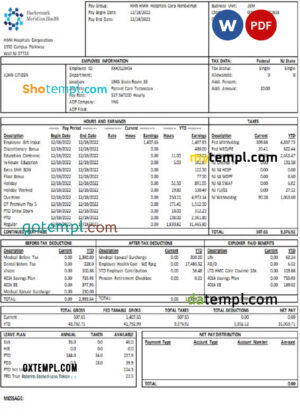 Mraz and Sons earnings statement Word and PDF template