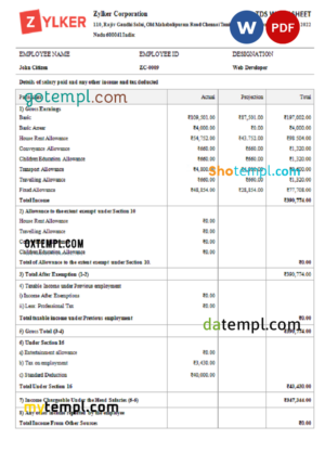 India Zylker Corporation software company pay stub Word and PDF template