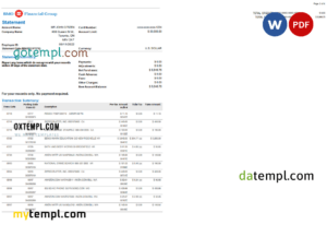 Hong Kong Citibank credit card statement template in Word and PDF format