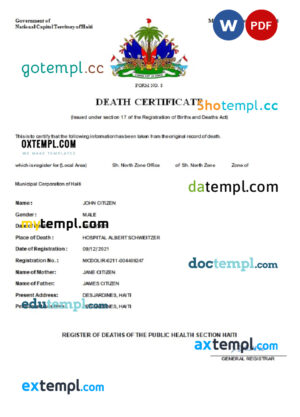 Lesotho vital record death certificate Word and PDF template