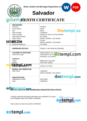 INDIA CONCENTRIX Daksh Services India private Limited payslip template in Word and PDF formats