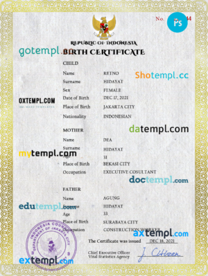 Uzbekistan driving license PSD template, completely editable
