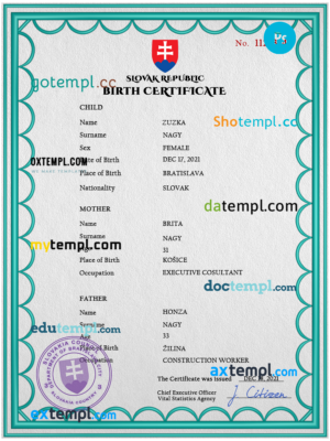 Tanzania business registration certificate Word and PDF template
