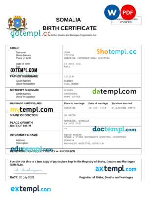 Filming company pay stub template in Word and PDF formats