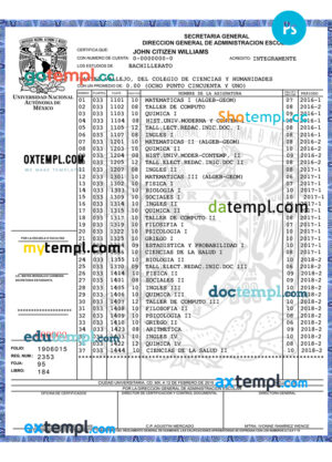 USA Wells Fargo bank credit card statement template in Word and PDF format