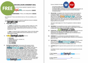 USA NAB bank statement template in Word and PDF format