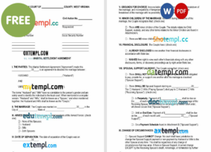USA Syndicate bank credit card statement, Word and PDF template, 3 pages