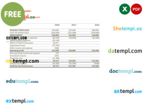 consolidated income statement template in Excel and PDF format