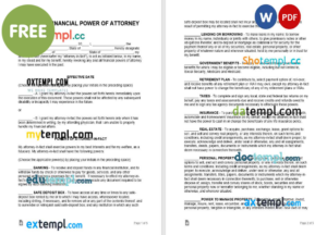 Rossi Construction Inc pay stub template in PDF ad Word formats
