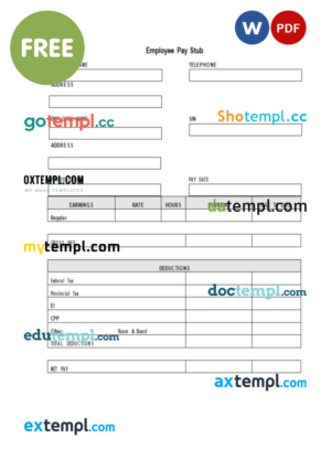 employee pay stub template in Word and PDF format