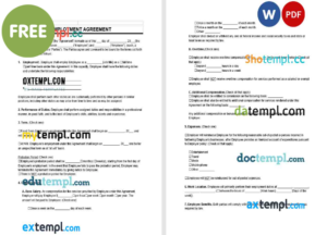 Indonesia vital record death certificate Word and PDF template