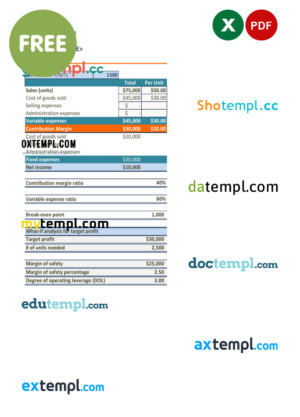 income statement template in Word and PDF format