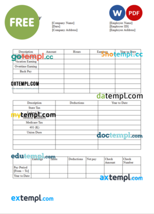 paycheck stub template in Word and PDF format, version 3