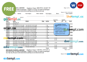 payroll report template in Word and PDF format