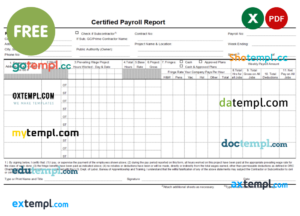 payroll report template in Word and PDF format, version 6