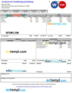 Air Doctor pay stub Word and PDF template