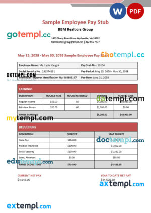 BBM realtors group employee pay stub template in PDF and Word formats
