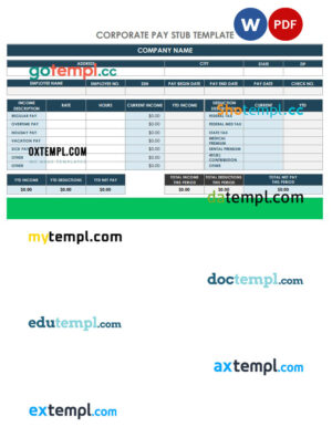 Corporate pay stub Word and PDF template