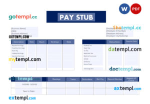 Employee pay stub template in PDF and Word formats, version 6