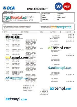 USA Entertainment Partners Enterprises financial company pay stub Word and PDF template