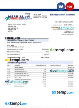 Merrill Bank organization account statement Word and PDF template