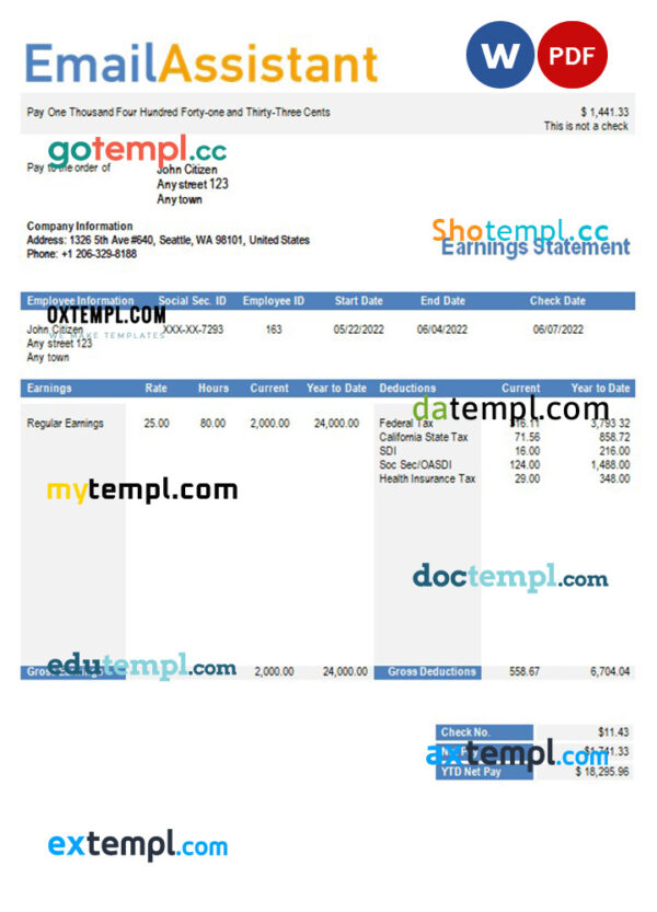 email services company earning statement in Word and PDf formats