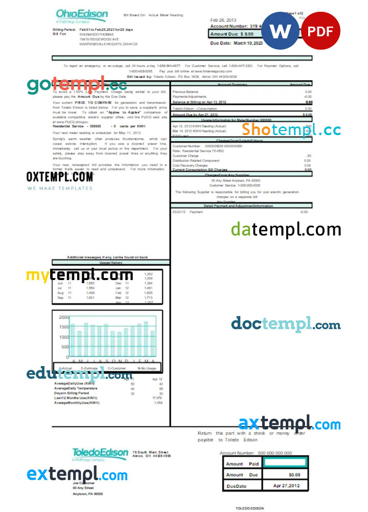 Blank Software Invoice template in word and pdf format