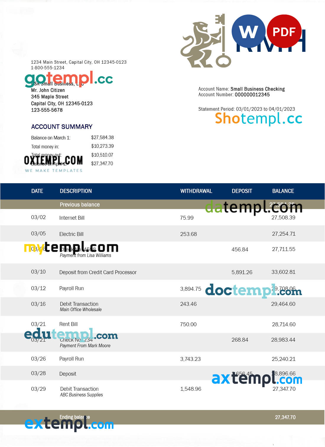 Rand Merchant Bank enterprise account statement Word and PDF template