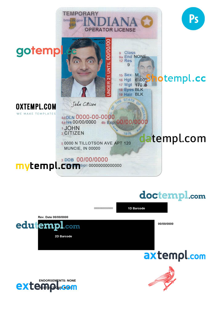 USA Indiana state vertical driving license (operator) editable PSD template, under 21