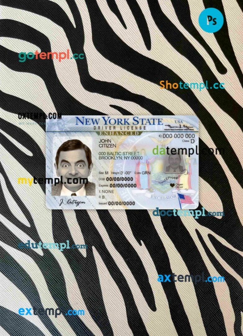 USA New York driving license PSD files, scan look and photographed image, 2 in 1