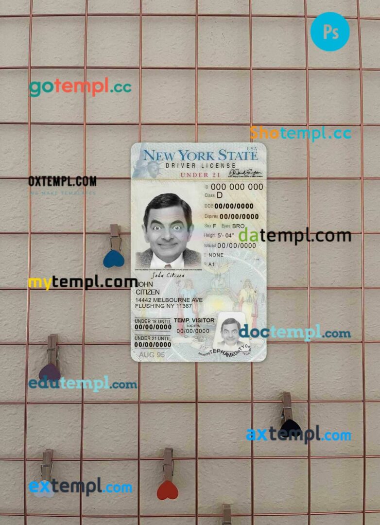 USA New York driving license editable PSD files, scan look and photo-realistic look, 2 in 1, under 21