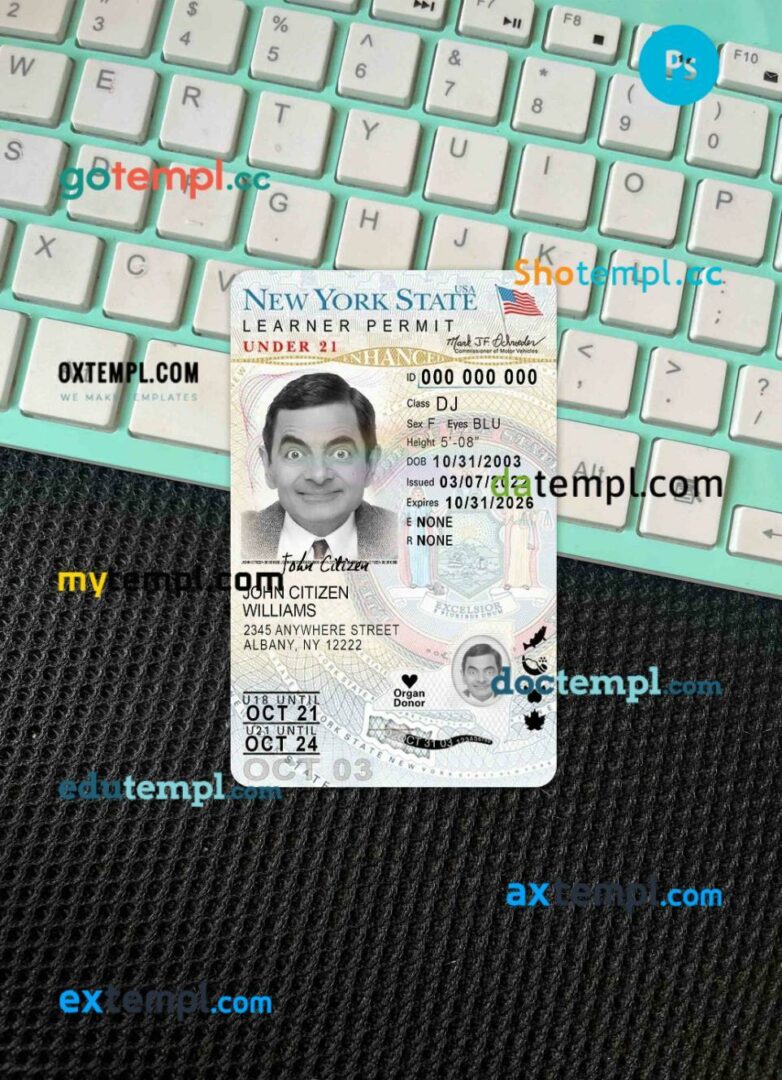 USA New York driving license PSD files, scan look and photographed image, 2 in 1 (version 2), under 21