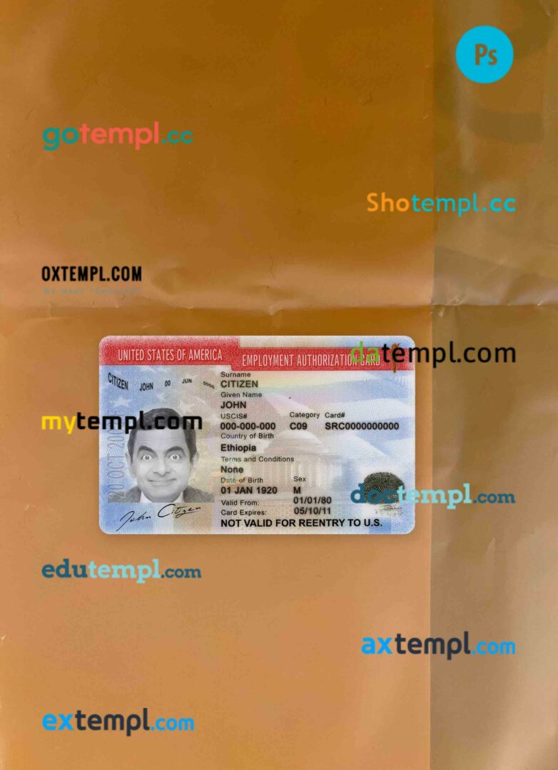 Pakistan e-visa Word and PDF template