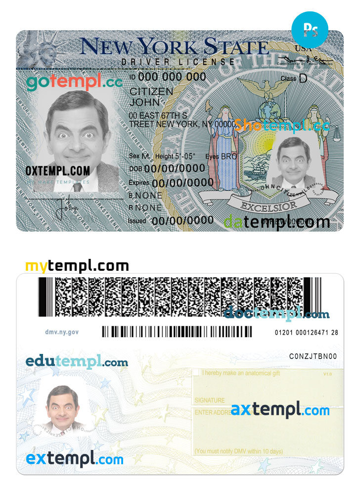 USA New York driving license PSD template, version 2 USA New York driving license PSD template, version 2